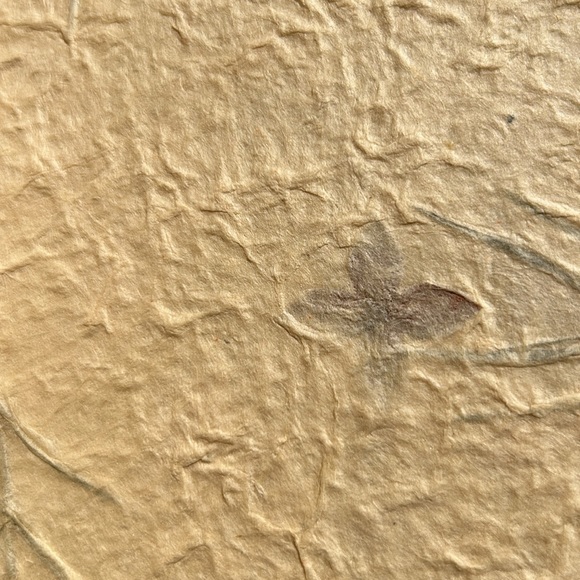 Blue Mountain Arts Mother’s Day keepsake book. - Picture 8 of 8